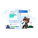 Salesforce Starter Suite